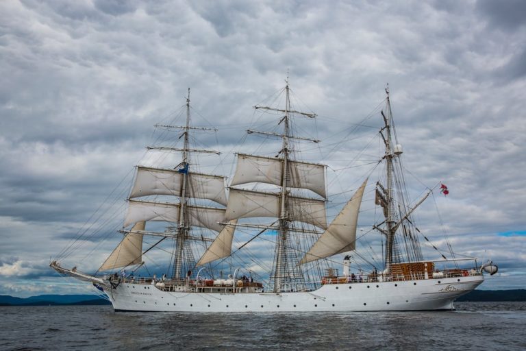 How To Choose The Best Shipping Company