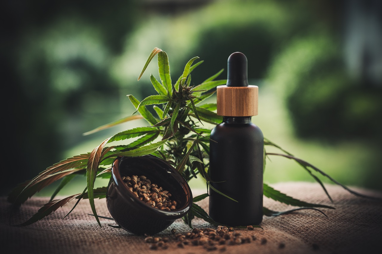 The Different Types of Cannabis Seeds You Can Buy